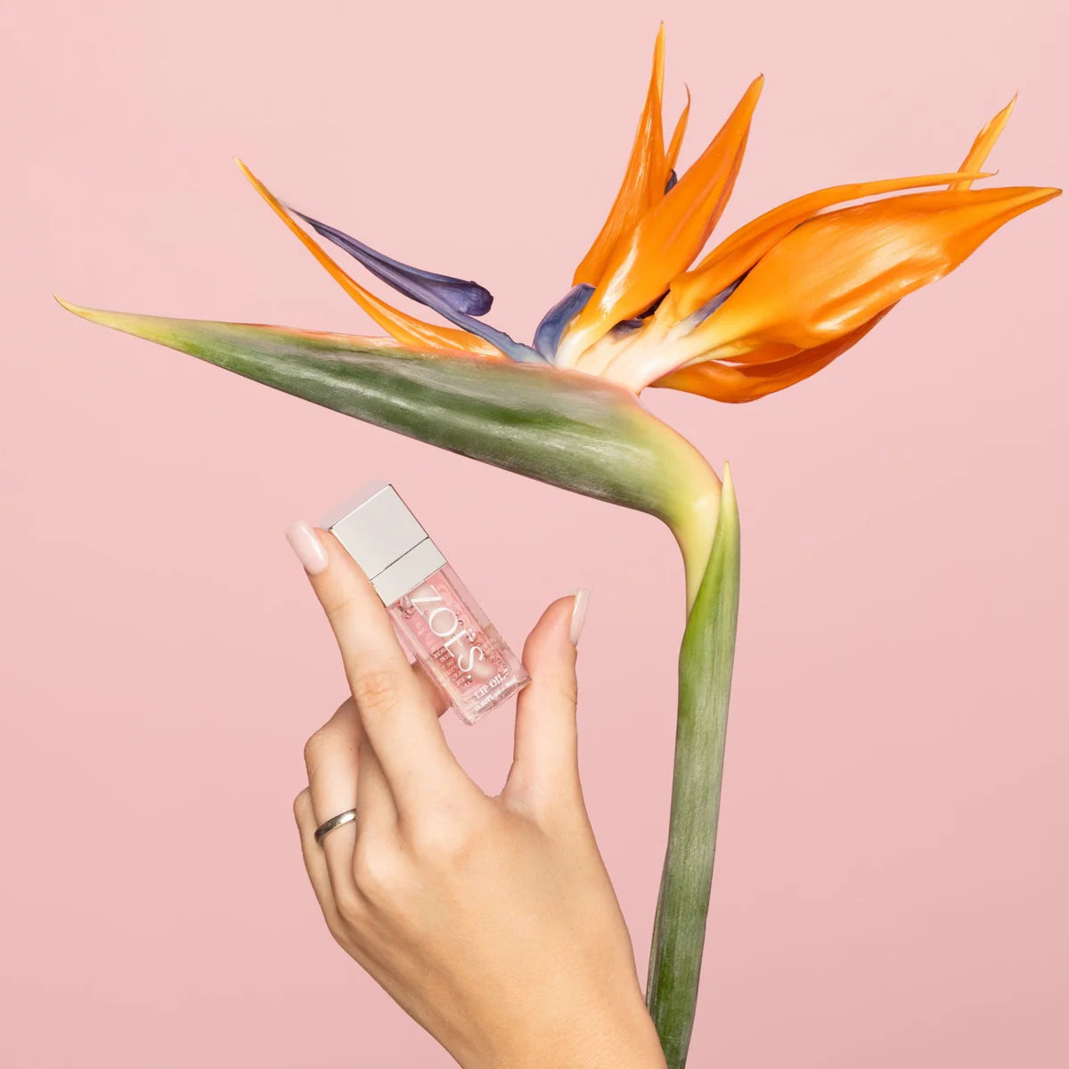 Zoës Lip oil - bird of paradise